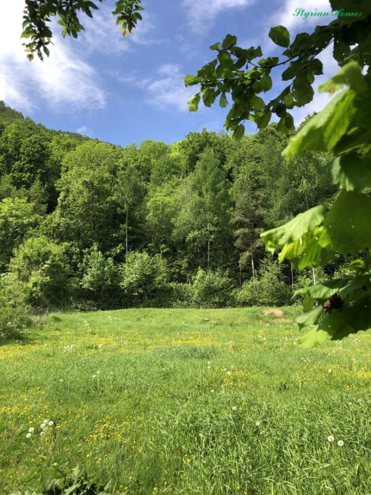 Terreno en Gosting, Austria No. 128100