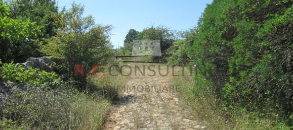 15-Zimmer Haus in Martina Franca, Italy, Nr. 118392 4