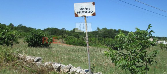 15-Zimmer Haus in Martina Franca, Italy, Nr. 118392 5