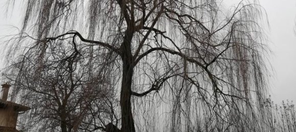 Casa de 7 divisões em Monfumo, Italy N.º 234396 56