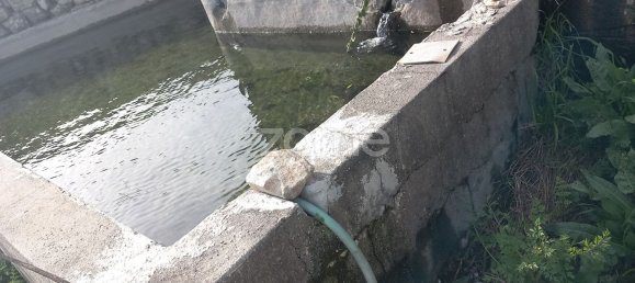 Grundstück in Baiao, Portugal 3976m², Nr. 36498 10