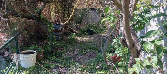 Вилла с 13 спальнями в Ноли, Италия № 104072 24