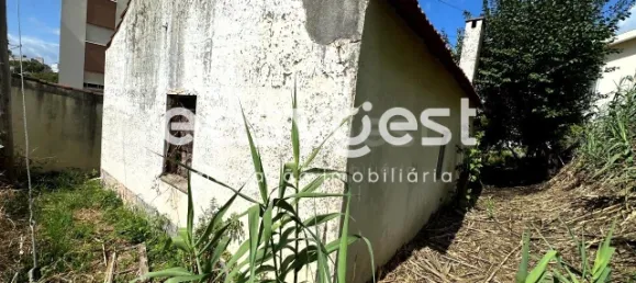 Дом с 3 спальнями в Коимбра, Португалия № 90622 5