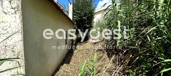 Дом с 3 спальнями в Коимбра, Португалия № 90622 6