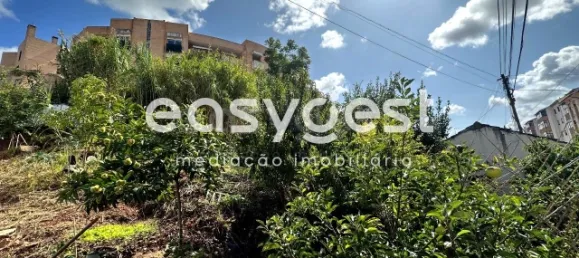 Дом с 3 спальнями в Коимбра, Португалия № 90622 13