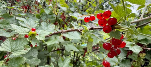 1 bedroom Duplex in Munich, Germany No. 239716 15