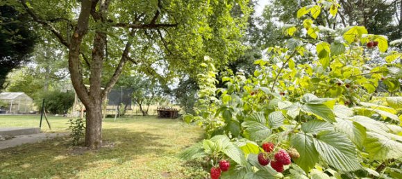 1 bedroom Duplex in Munich, Germany No. 239716 16