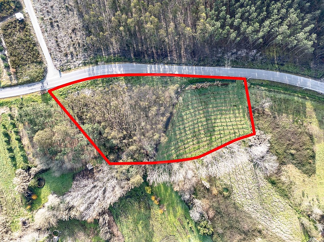  Land in Ourenta, Portugal No. 85077