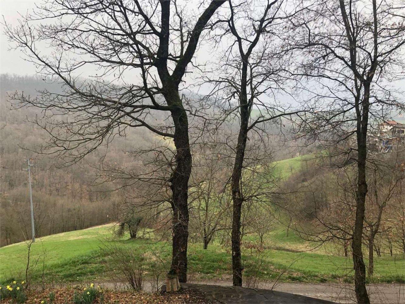 7 rooms House in Casina, Italy No. 151836