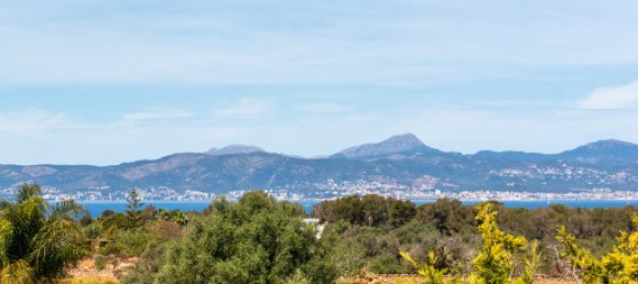 Вилла с 5 спальнями в Ллукмайор, Испания № 144953 34