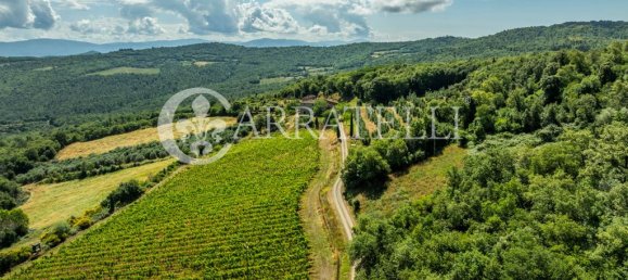 4 bedrooms House in Laterina Pergine Valdarno, Italy No. 91310 20