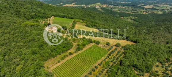 4 bedrooms House in Laterina Pergine Valdarno, Italy No. 91310 21