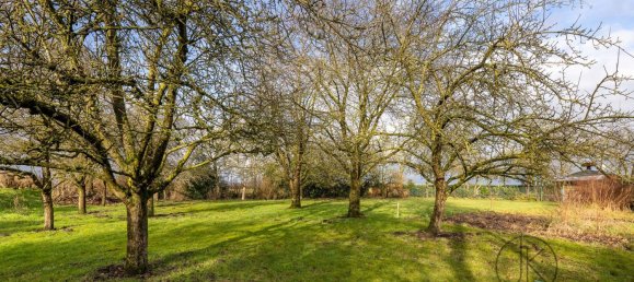 Bungalow de 3 dormitorios en Diepholz, Germany No. 209131 42