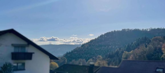 2 chambres Appartement à Baden-Wurttemberg, Germany No. 13768 3