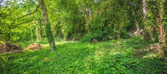  قطعة أرض في Aachen, Germany رقم 369794 11