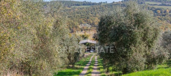 6 bedrooms House in San Venanzo, Italy No. 238563 32