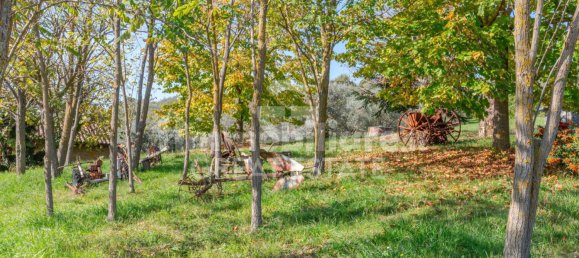 6 bedrooms House in San Venanzo, Italy No. 238563 26