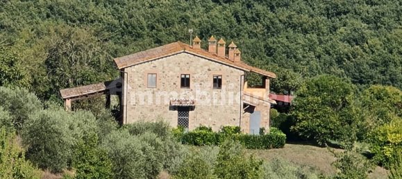 6 bedrooms House in San Venanzo, Italy No. 238563 7