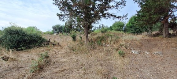 Propriedade comercial T3 em Corfu, Greece N.º 55204 21