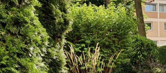 Estúdio em La Celle-Saint-Cloud, France N.º 173326 2