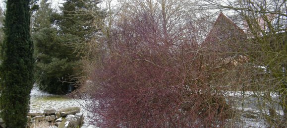 3 Schlafzimmer Haus in Tirschenreuth, Germany, Nr. 188074 2