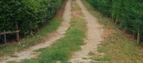 6-Zimmer Villa in Sansepolcro, Italy, Nr. 135958 2