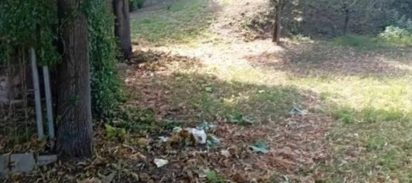 6-Zimmer Villa in Sansepolcro, Italy, Nr. 135958 8