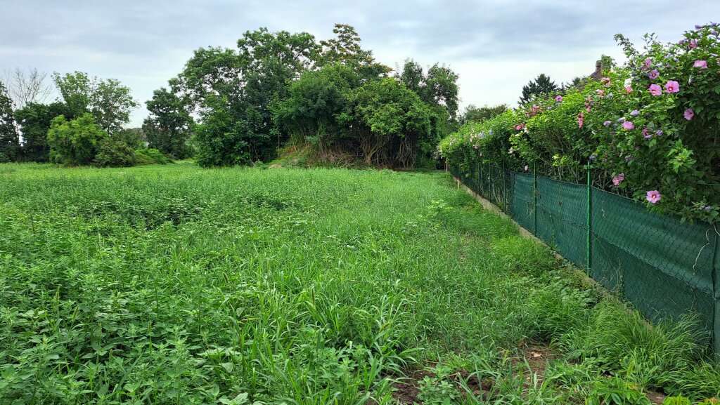  Land in Gross-Enzersdorf, Austria No. 111013