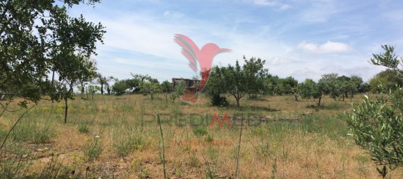 15000m² Land in Santa Catarina da Fonte do Bispo, Portugal No. 68749 12