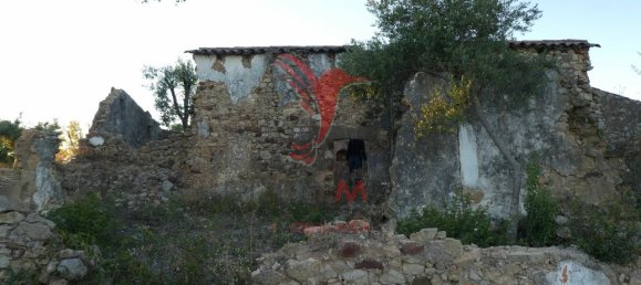 15000m² Land in Santa Catarina da Fonte do Bispo, Portugal No. 68749 24