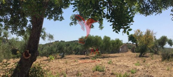 15000m² Land in Santa Catarina da Fonte do Bispo, Portugal No. 68749 25