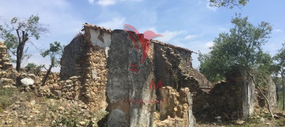 15000m² Land in Santa Catarina da Fonte do Bispo, Portugal No. 68749 27