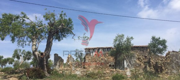 15000m² Land in Santa Catarina da Fonte do Bispo, Portugal No. 68749 26