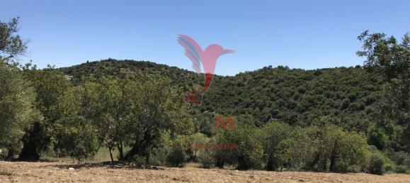 15000m² Land in Santa Catarina da Fonte do Bispo, Portugal No. 68749 16