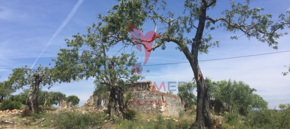 15000m² Land in Santa Catarina da Fonte do Bispo, Portugal No. 68749 10