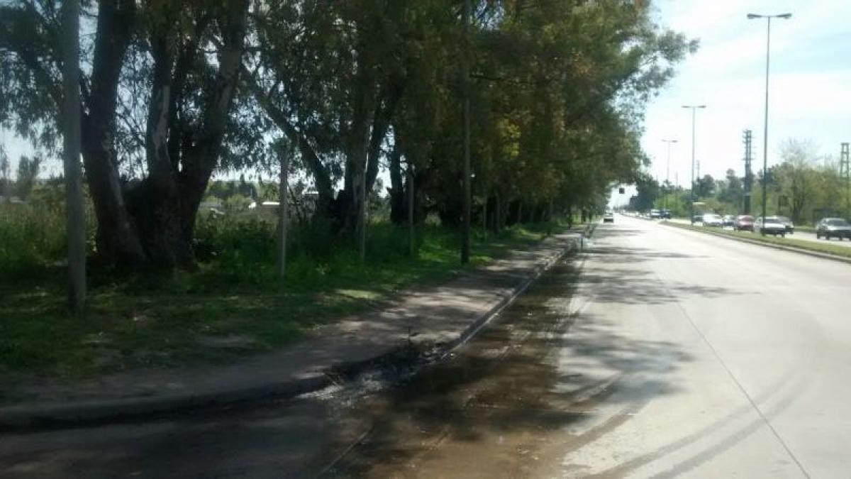 260m² Commercial property in Campo Creado, Argentina No. 22982