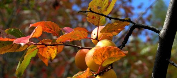 Casa T2 em Bardonecchia, Italy N.º 121594 11