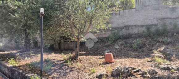 2 chambres Villa à Monreale, Italy No. 309883 9