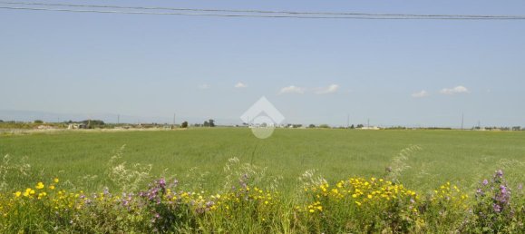  قطعة أرض في Foggia, Italy 50000متر مربع رقم 84560 5