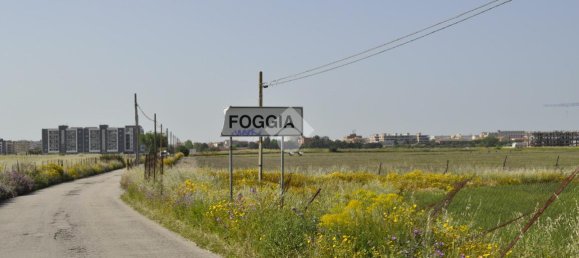  قطعة أرض في Foggia, Italy 50000متر مربع رقم 84560 4