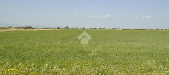  قطعة أرض في Foggia, Italy 50000متر مربع رقم 84560 8