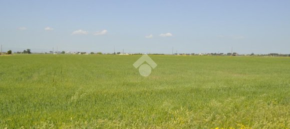  قطعة أرض في Foggia, Italy 50000متر مربع رقم 84560 9