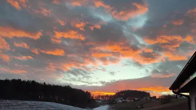 3 bedrooms Bungalow in Nestelbach bei Graz, Austria No. 220972