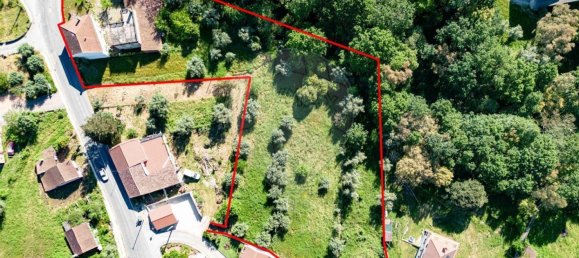 5 Schlafzimmer Haus in Miranda do Corvo, Portugal, Nr. 171965 48