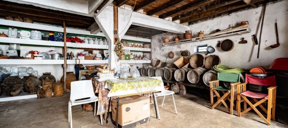 5 Schlafzimmer Haus in Miranda do Corvo, Portugal, Nr. 171965 19