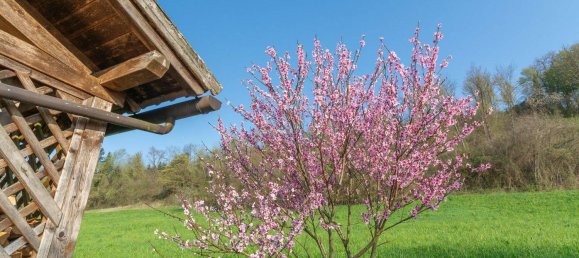 3 bedrooms Villa in Cesiomaggiore, Italy No. 271300 18