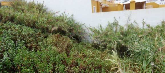 Terrain à La Orotava, Spain No. 61791 3