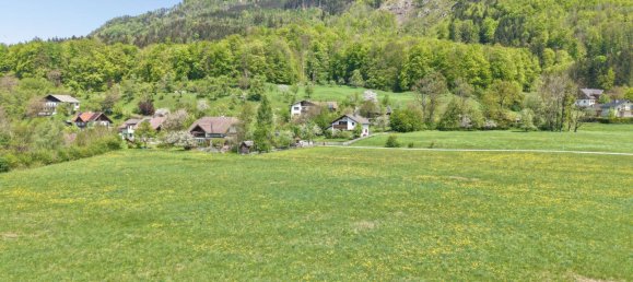 Land in Grunau im Almtal, Austria No. 165193 7
