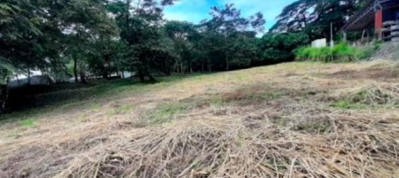 terrain à vendre à Garabito, Puntarenas, Costa Rica № 1412 2
