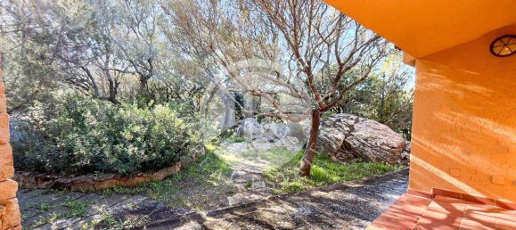 6 bedrooms Villa in Palau, Italy No. 19379 6